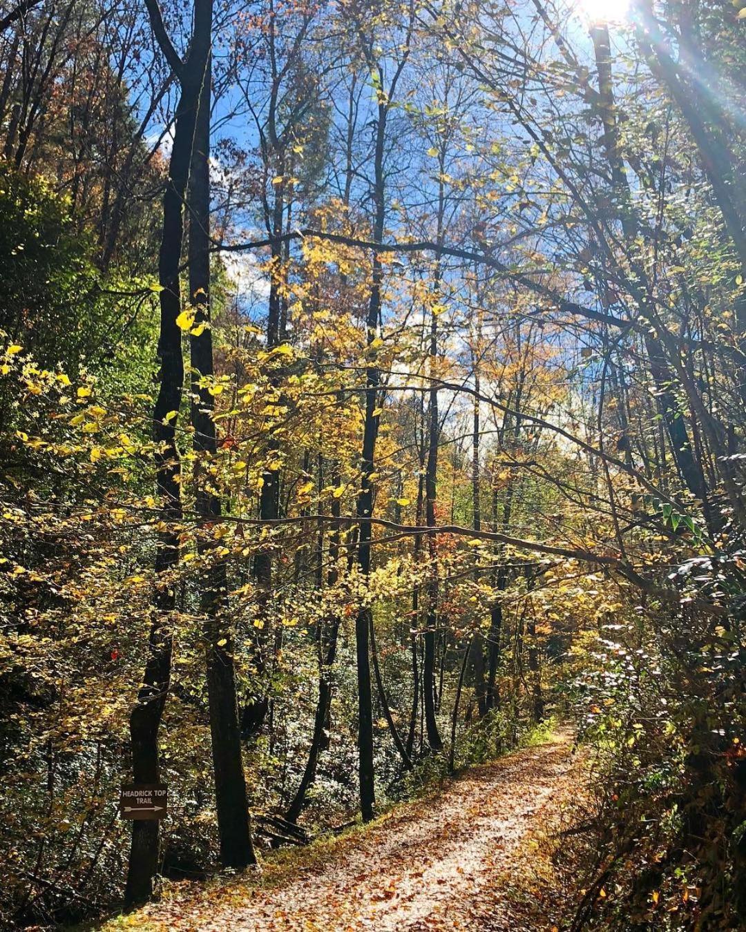 Falcon'S View Sevierville Buitenkant foto